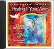 Healing in Your Wings Touching the Father's Heart #40