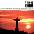 Vol. 1-a Trip to Brazil