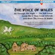 The Voice of Wales