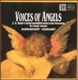 Voices of Angels