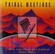 Tribal Meetings-Andean & Native Flute Music