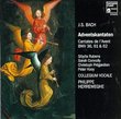 Bach: Adventskantaten BWV 36, 61 & 62 / Rubens, Connolly, Prégardien, Kooy, Herreweghe