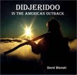 Didjeridoo in the American Outback