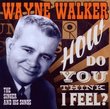 How Do You Think I Feel-the Singer & His Songs