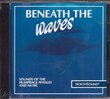 Beneath the Waves - Sounds of the Humpback Whales and Music