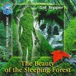 Beauty of the Sleeping Forest