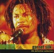 Garnet Silk: The Definitive Collection (2CD)