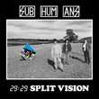 29:29 Split Vision (Reis) (Dig)