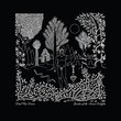 Garden Of The Arcane Delights / Peel Sessions (Remastered)