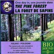 The Sounds of Nature: Pine Forest