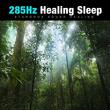 285Hz Healing Sleep (Solfeggio Frequencies)