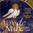 Vox de Nube (Voice from the Cloud)