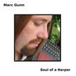 Soul of a Harper (Autoharp Celtic Songs)