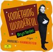 Bryn Terfel - Something Wonderful (Bryn Terfel sings Rodgers & Hammerstein)
