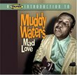 A Proper Introduction to Muddy Waters: Mad Love