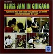 Blues Jam in Chicago 2