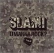 Slam: You Wanna Rock? V.2