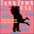 Teen Town USA, Vol. 1
