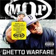 Ghetto warfare