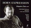 Horn Expression