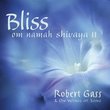 Bliss:  Om Namah Shivaya II