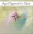 Ayni Hypmind #1: Now (A Deep, Guided Meditation for Perspective and Presence)