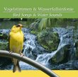 Vogelstimmen & Wasserfall