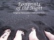 Footprints of the Night: A Relaxation Instrumental