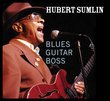 Blues Guitar Boss