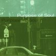 Purpose of Soul