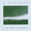 I Am John's Pancreas