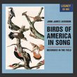 Birds Of America In Song