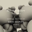 This Is Audiotherapy, Vol. 2