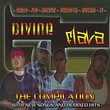 Divine Flava: The Compilation