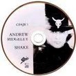 Shake (4 track single)