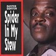 Spider in My Stew