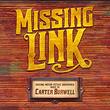 Missing Link