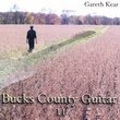 Bucks County Guitar II
