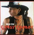 Gypsy Cowboy