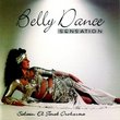 Belly Dance Sensation