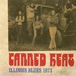 Illinois Blues 1973