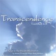 Transcendence - Tamboura in B