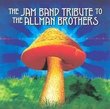 Jam Band Tribute to the Allman Brothers
