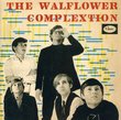Wallflower Complextion