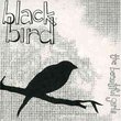 Blackbird