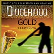 Didgeridoo Gold
