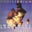 Equilibrium: Imaginary landscapes