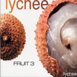 Lychee Fruit V.3