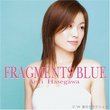 Fragments Blue