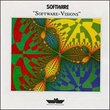 Software-Visions